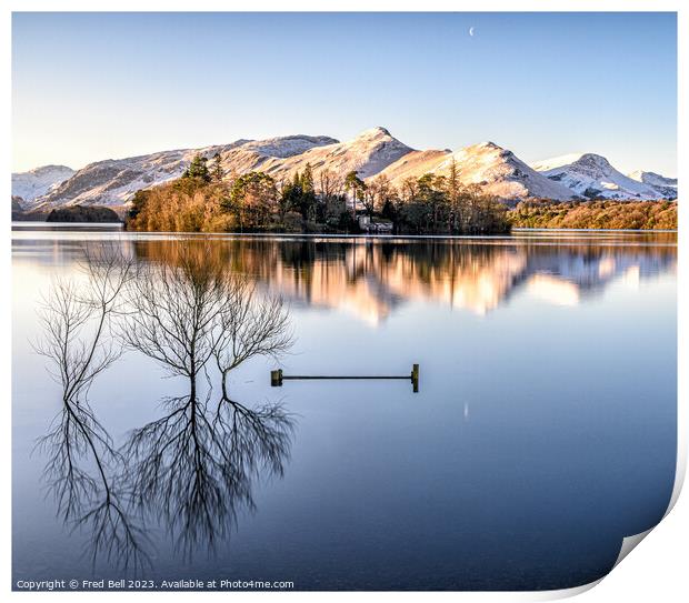 Derwentwater Morning Light Print by Fred Bell