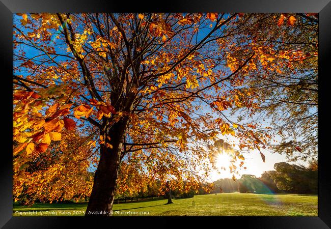 Autumn Sunshine. Framed Print by Craig Yates