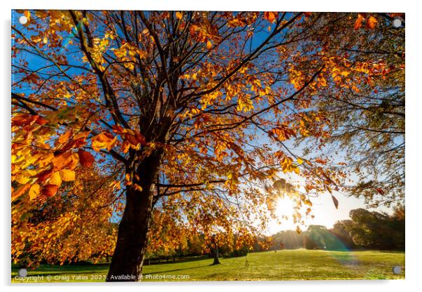 Autumn Sunshine. Acrylic by Craig Yates
