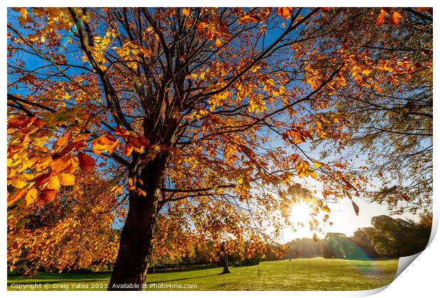 Autumn Sunshine. Print by Craig Yates