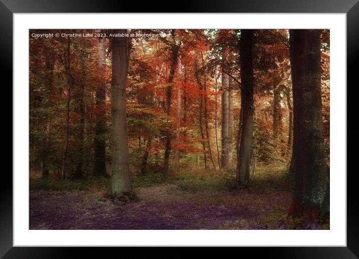 A Blaze Of Autumn Colour Framed Mounted Print by Christine Lake