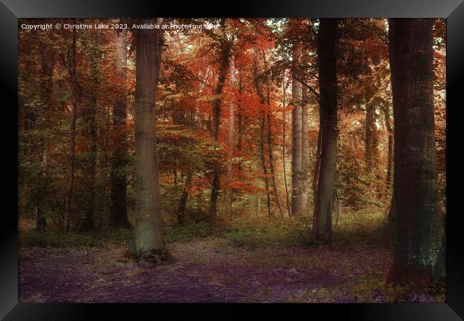 A Blaze Of Autumn Colour Framed Print by Christine Lake