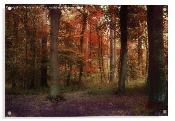 A Blaze Of Autumn Colour Acrylic by Christine Lake