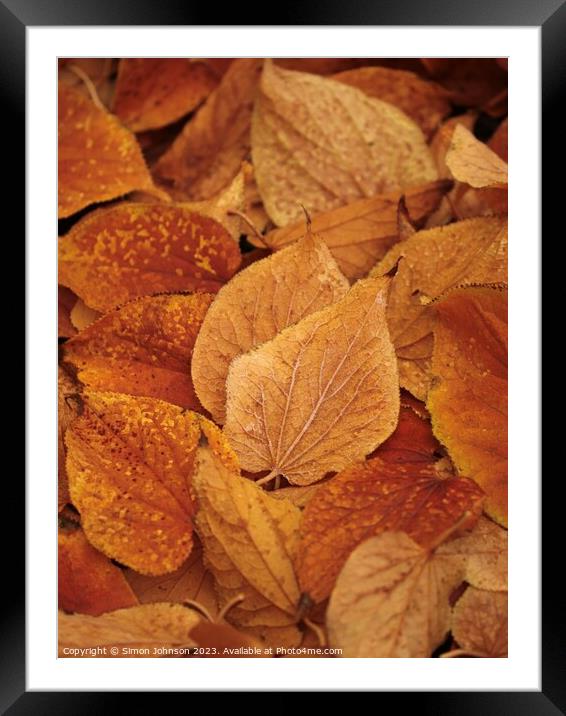 Plant leaves Framed Mounted Print by Simon Johnson