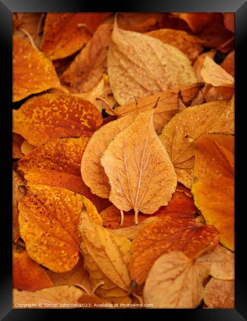 Frosted leaved  Framed Print by Simon Johnson