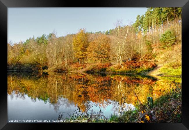 Cannock Chase Autumn Framed Print by Diana Mower