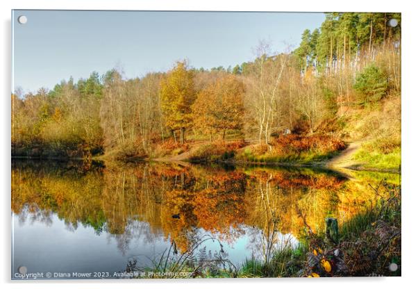 Cannock Chase Autumn Acrylic by Diana Mower