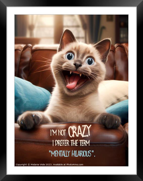 FUNNY CAT Craziness Framed Mounted Print by Melanie Viola