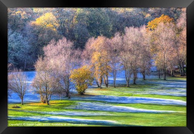 Dartmoor Morning Frost  Framed Print by David Pyatt