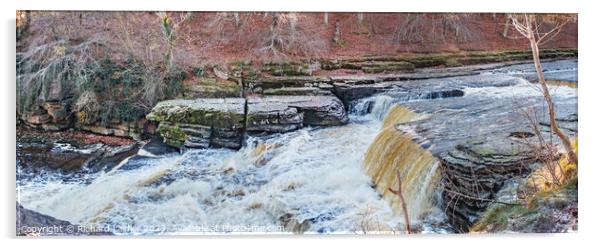 Aysgarth Lower Falls, Yorkshire Dales Acrylic by Richard Laidler