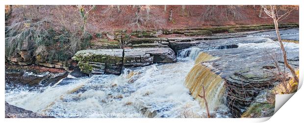 Aysgarth Lower Falls, Yorkshire Dales Print by Richard Laidler