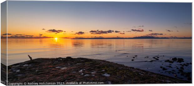 Sunset over the Firth of Clyde Canvas Print by Rodney Hutchinson