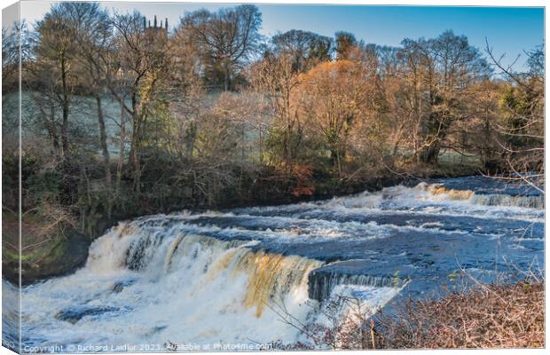 Aysgarth Middle Falls, Yorkshire Dales Canvas Print by Richard Laidler