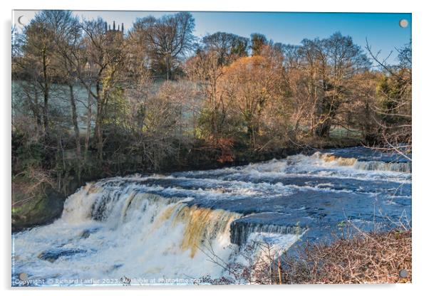 Aysgarth Middle Falls, Yorkshire Dales Acrylic by Richard Laidler