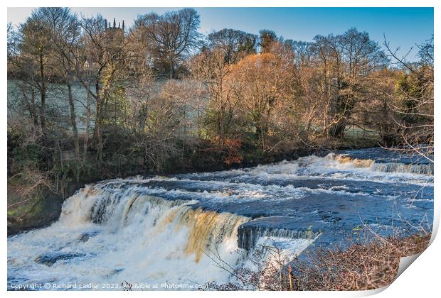 Aysgarth Middle Falls, Yorkshire Dales Print by Richard Laidler