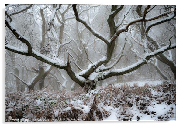 Snowy woodland scene  982 Acrylic by PHILIP CHALK