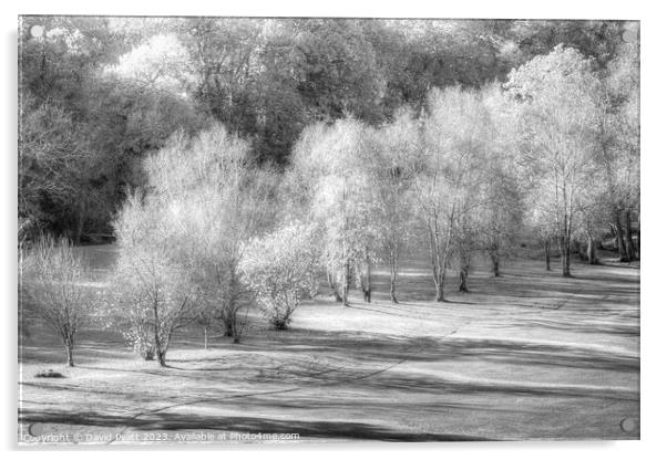 Dartmoor Morning Frost Vista Acrylic by David Pyatt