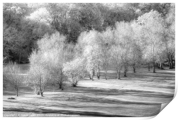 Dartmoor Morning Frost Vista Print by David Pyatt