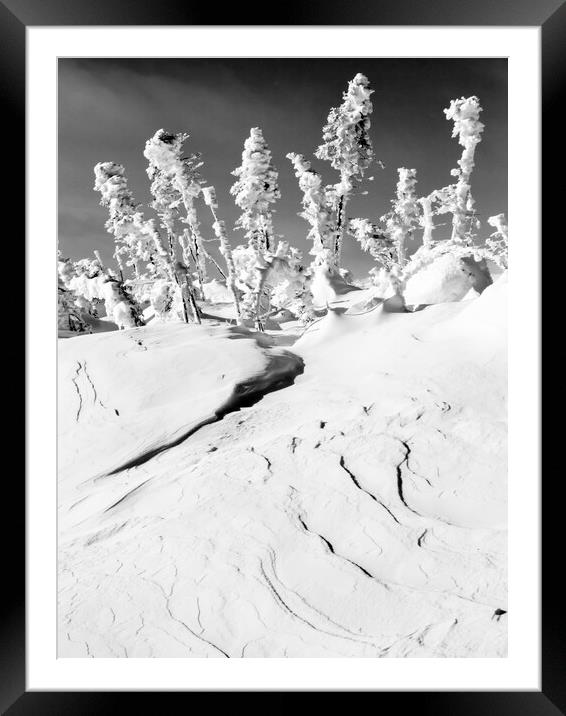 Winter Wonderland  Framed Mounted Print by Kevin Howchin