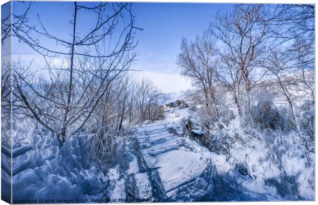 Winter Landscape Canvas Print by RJW Images