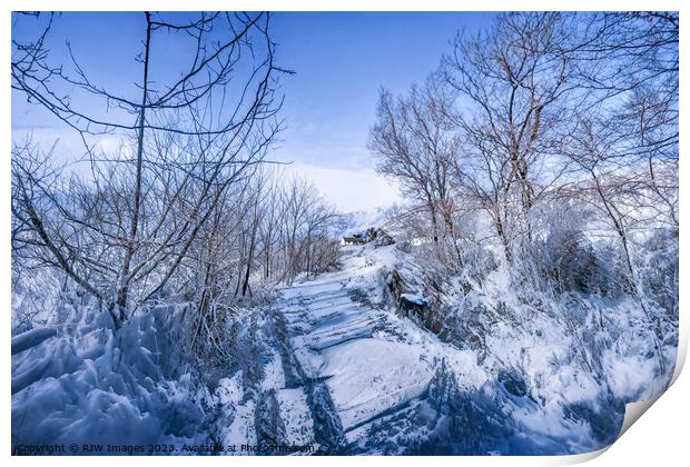 Winter Landscape Print by RJW Images
