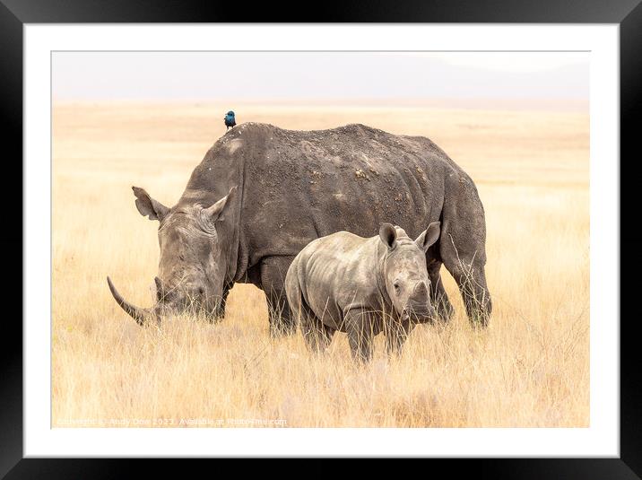 Rhinoceros family portrait Framed Mounted Print by Andy Dow
