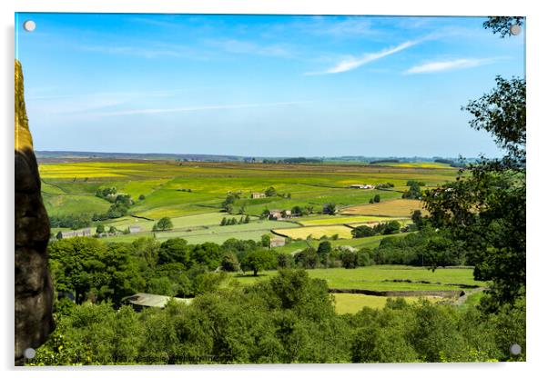 View farmland from Brimham Rocks Acrylic by Allan Bell