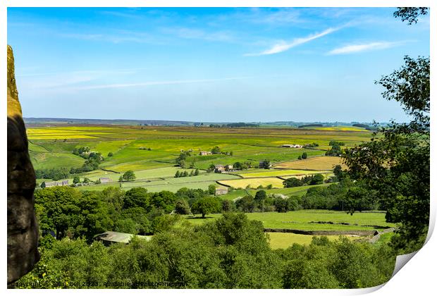 View farmland from Brimham Rocks Print by Allan Bell