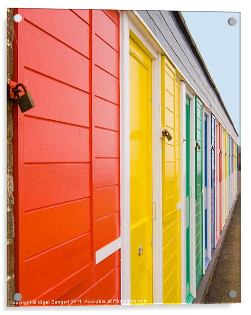 Colourful Beach Huts Acrylic by Nigel Bangert