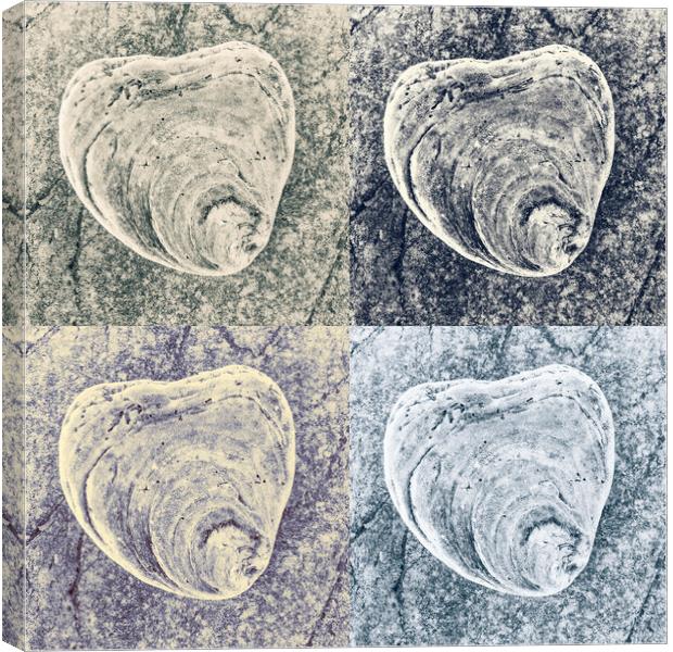 Seashell on Rock x 4 Canvas Print by Kevin Howchin