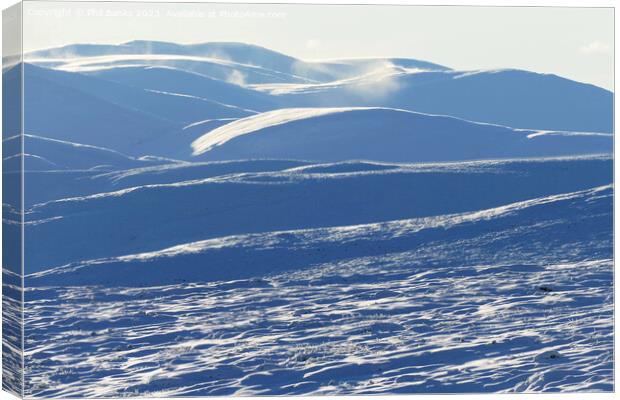 Snow wilderness in the Cairngorms Canvas Print by Phil Banks