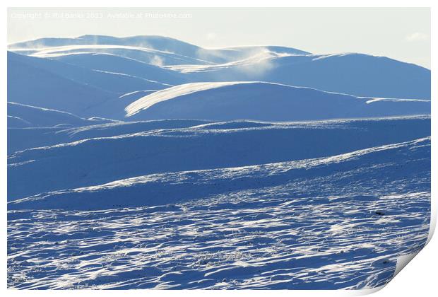 Snow wilderness in the Cairngorms Print by Phil Banks