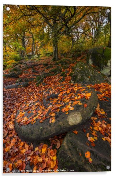 Millstone at Padley Gorge  Acrylic by Jim Monk