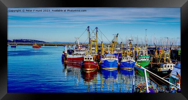 The Fishing Port Of Brixham Framed Print by Peter F Hunt