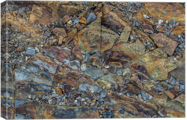 Rock Study on Pencannow Point Canvas Print by Pete Hemington
