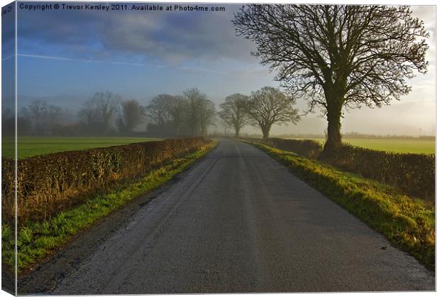 Misty Country Road Canvas Print by Trevor Kersley RIP