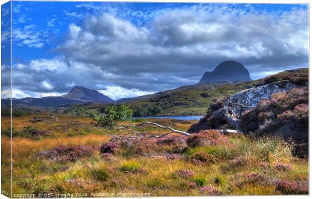 Suliven & Canisp Mountains Assynt Scotland At GlenCanisp Canvas Print by OBT imaging