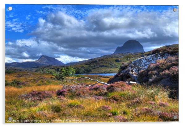 Suliven & Canisp Mountains Assynt Scotland At GlenCanisp Acrylic by OBT imaging