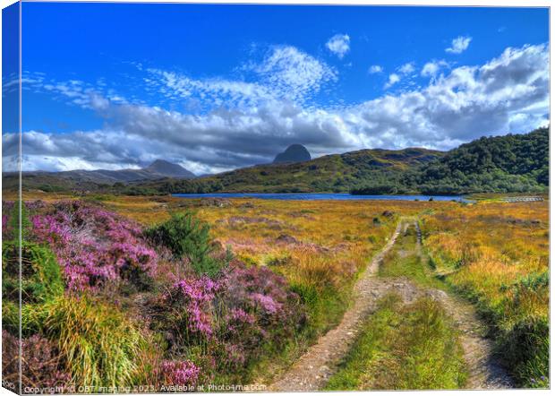 Suliven & Canisp Mountains Assynt Highland Scotland Glencanisp Track Canvas Print by OBT imaging