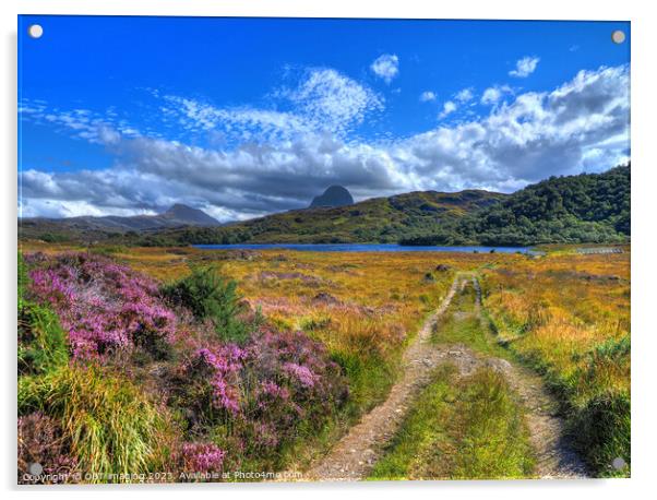 Suliven & Canisp Mountains Assynt Highland Scotland Glencanisp Track Acrylic by OBT imaging