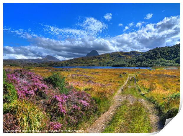 Suliven & Canisp Mountains Assynt Highland Scotland Glencanisp Track Print by OBT imaging