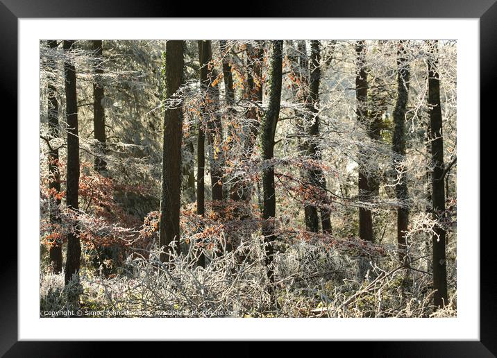 Woodland Hoar frost Framed Mounted Print by Simon Johnson