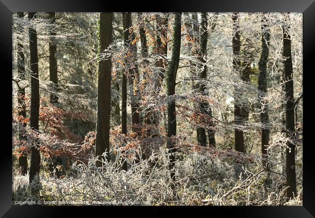 Woodland Hoar frost Framed Print by Simon Johnson
