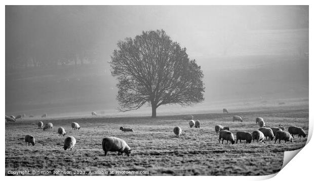 Tree, mist, sheep  Print by Simon Johnson
