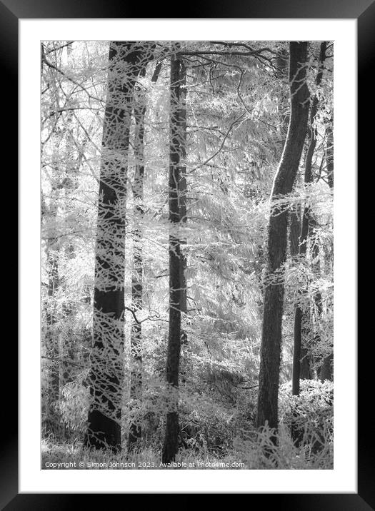 Woodland hoar frost soft focus Framed Mounted Print by Simon Johnson