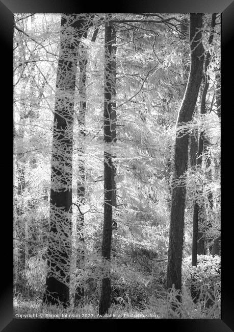 Woodland hoar frost soft focus Framed Print by Simon Johnson