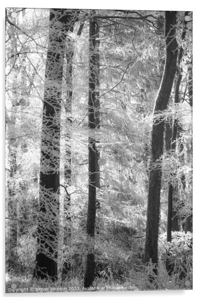 Woodland hoar frost soft focus Acrylic by Simon Johnson