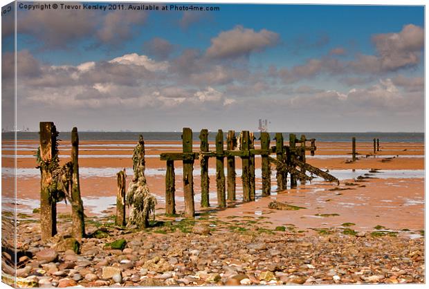 Sea Defence on the Humber Estuary Canvas Print by Trevor Kersley RIP