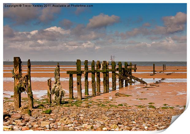 Sea Defence on the Humber Estuary Print by Trevor Kersley RIP