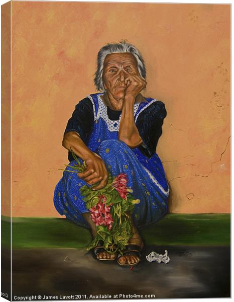 The Parga Flower Seller Canvas Print by James Lavott